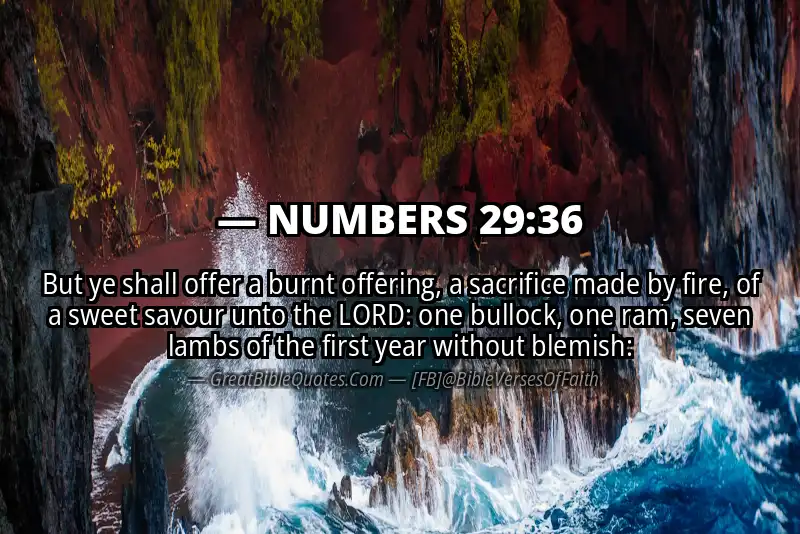 NUMBERS 29:36 Verse