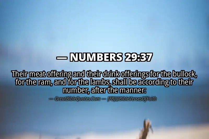 NUMBERS 29:37 Verse