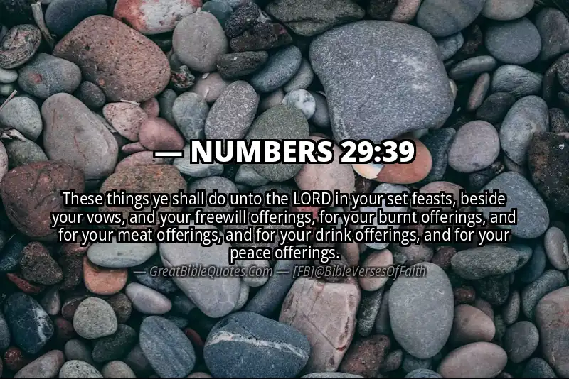 NUMBERS 29:39 Verse