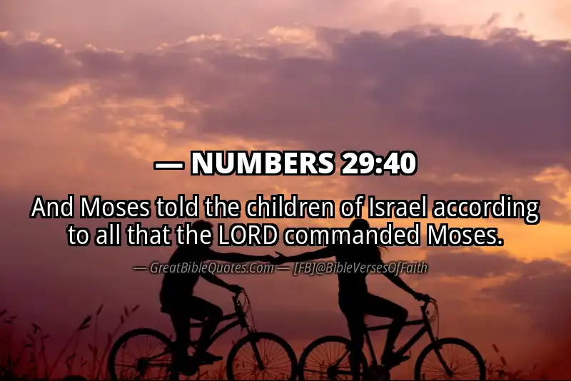 NUMBERS 29:40 Verse