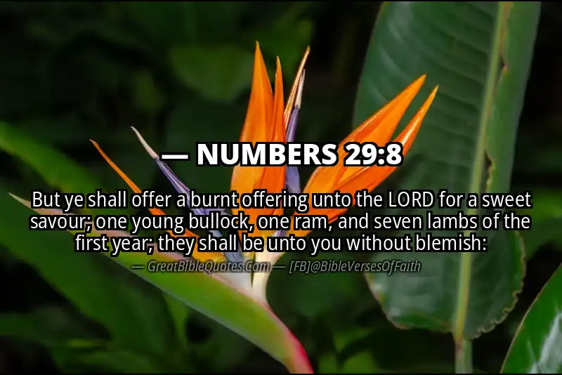 NUMBERS 29:8 Verse