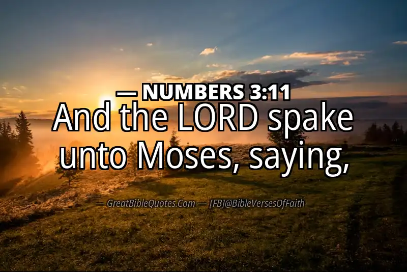 NUMBERS 3:11 Verse