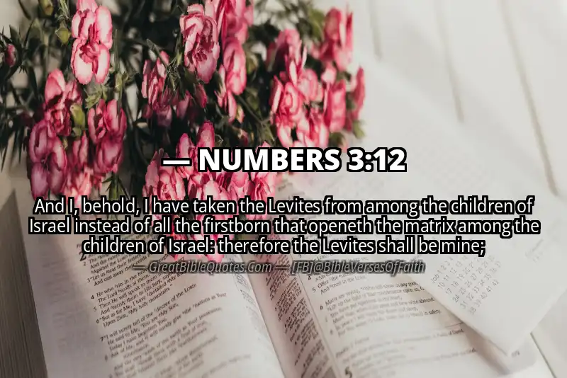 NUMBERS 3:12 Verse
