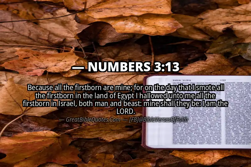 NUMBERS 3:13 Verse