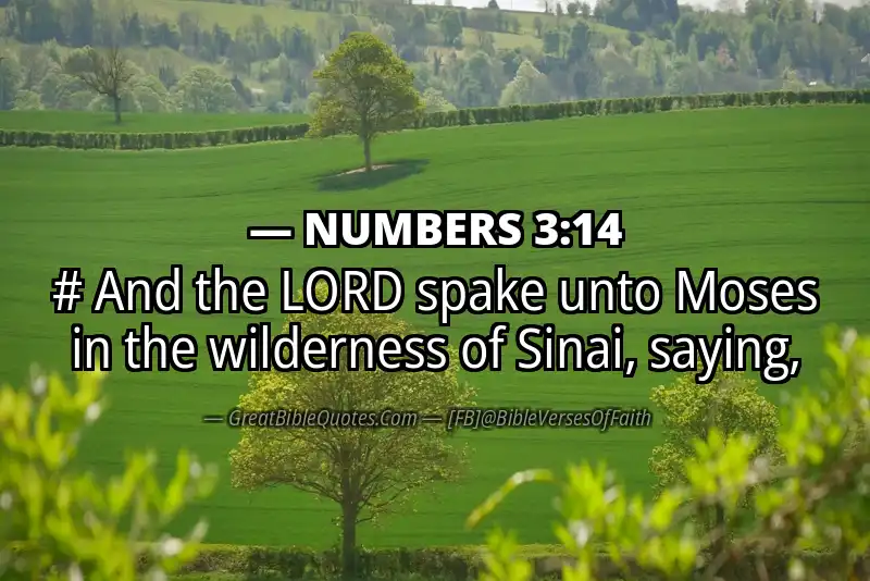 NUMBERS 3:14 Verse