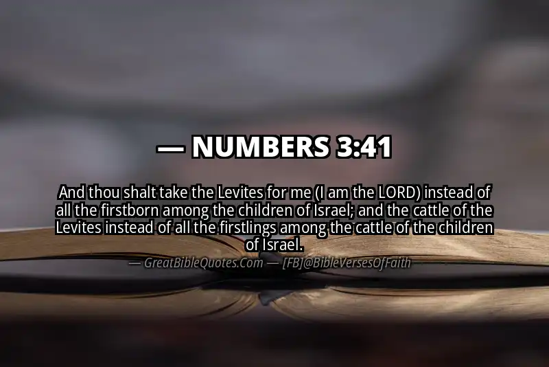 NUMBERS 3:41 Verse Image