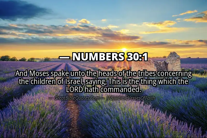 NUMBERS 30:1 Verse