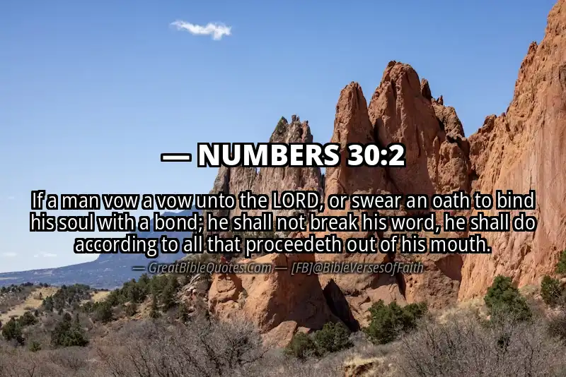 NUMBERS 30:2 Verse