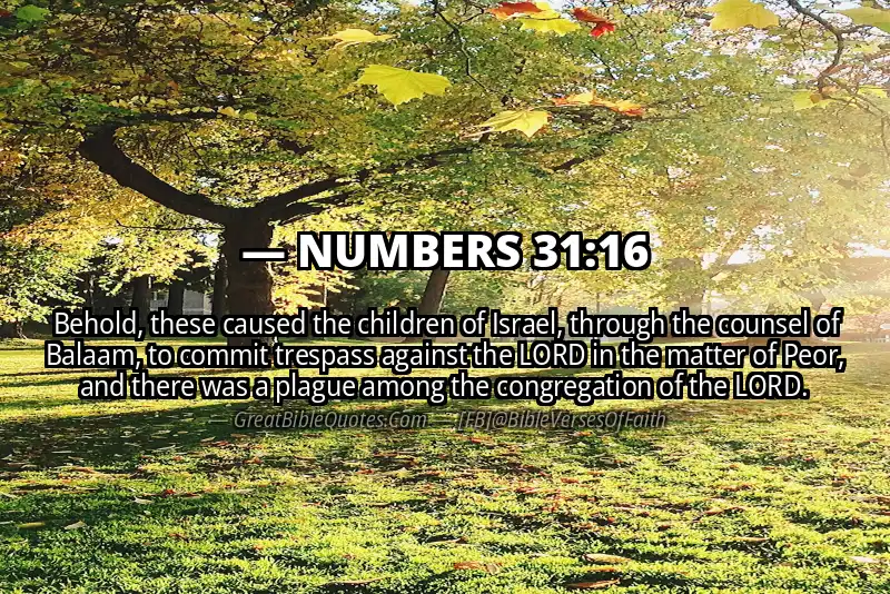 NUMBERS 31:16 Verse