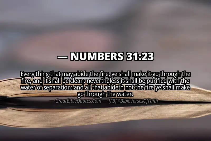 NUMBERS 31:23 Verse Image