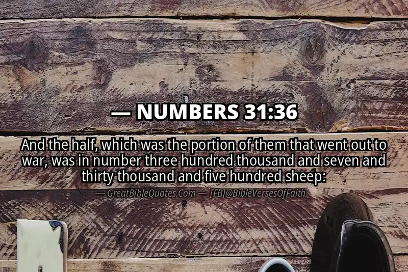 NUMBERS 31:36 Verse
