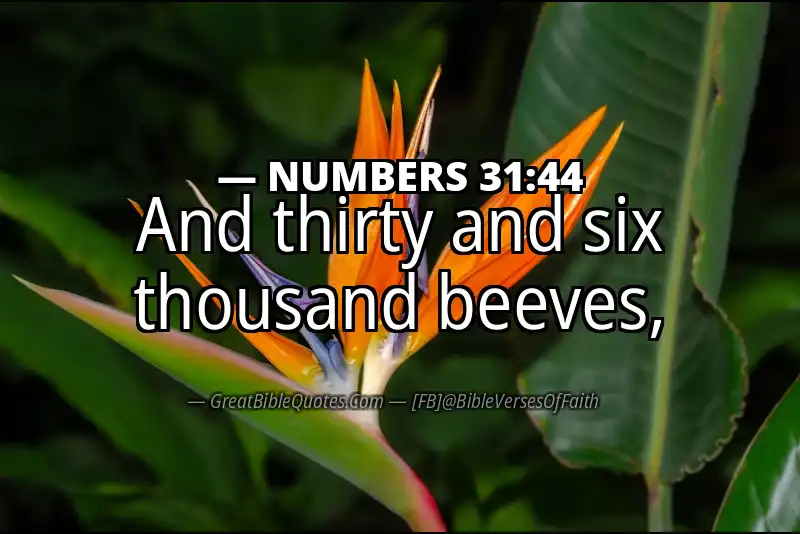 NUMBERS 31:44 Verse