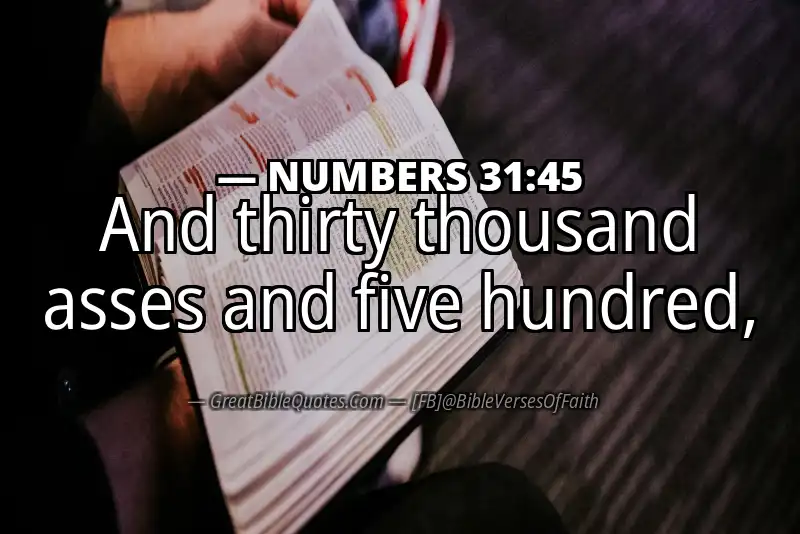 NUMBERS 31:45 Verse