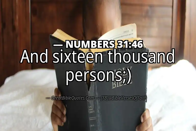 NUMBERS 31:46 Verse