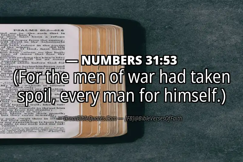 NUMBERS 31:53 Verse