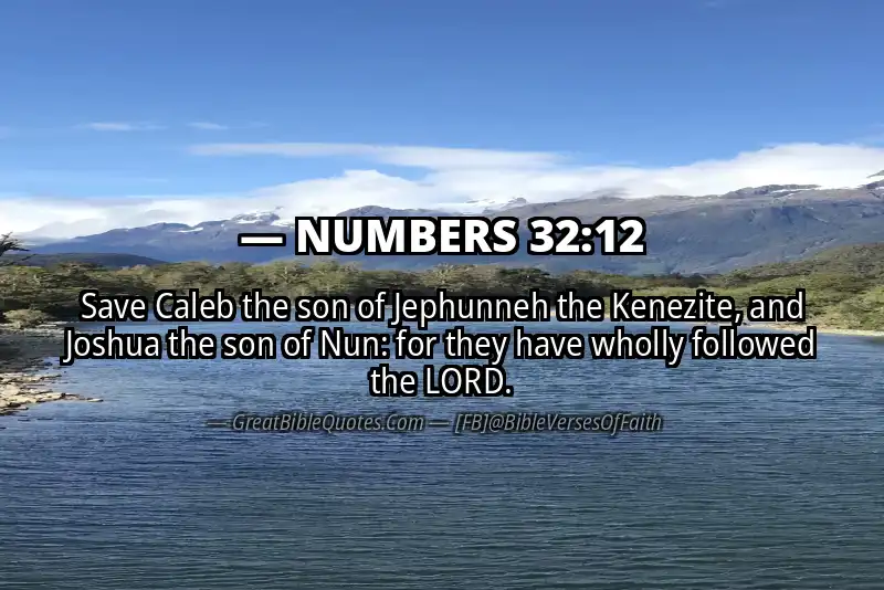 NUMBERS 32:12 Verse