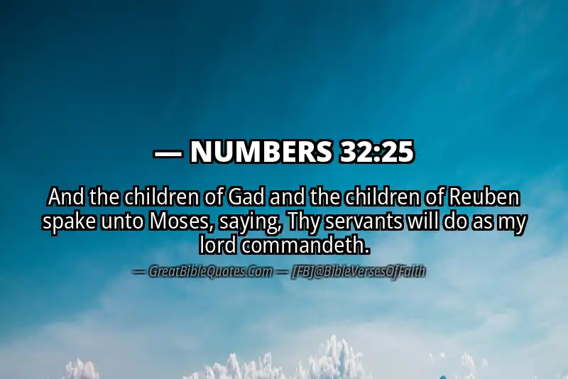 NUMBERS 32:25 Verse
