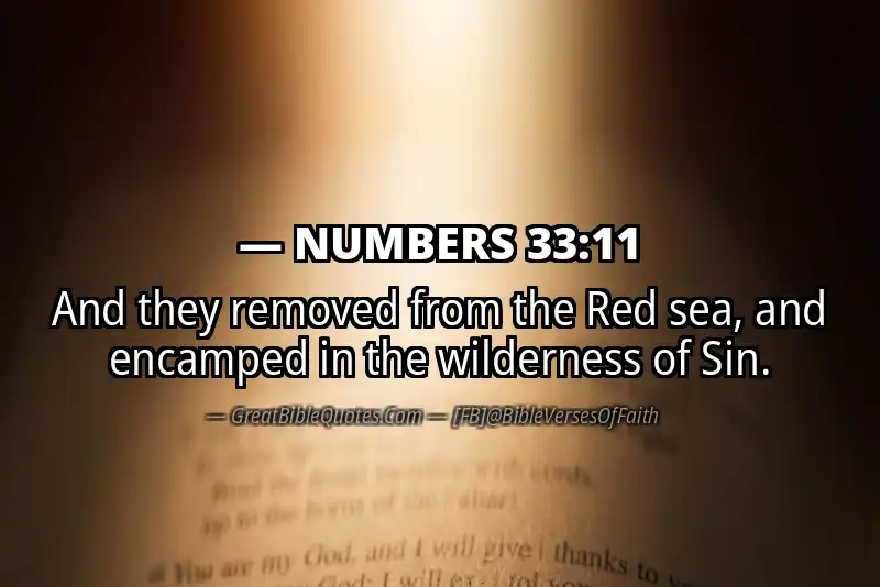 NUMBERS 33:11 Verse