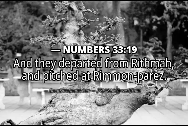 NUMBERS 33:19 Verse