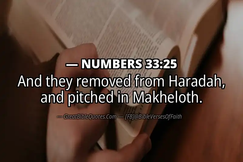 NUMBERS 33:25 Verse