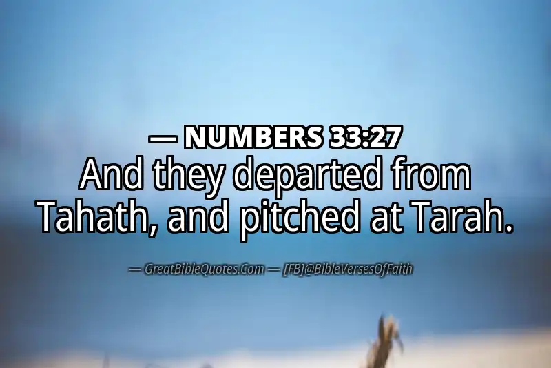 NUMBERS 33:27 Verse