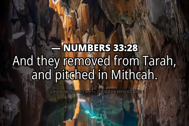 NUMBERS 33:28 Verse
