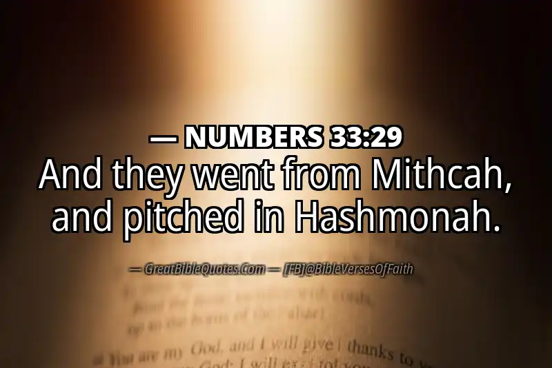 NUMBERS 33:29 Verse