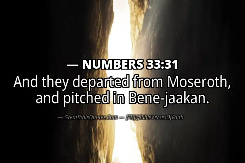 NUMBERS 33:31 Verse
