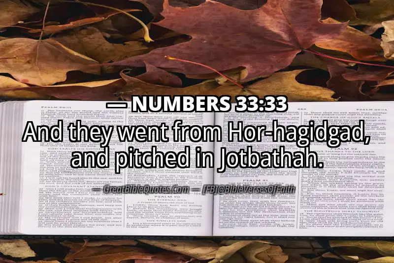 NUMBERS 33:33 Verse Image