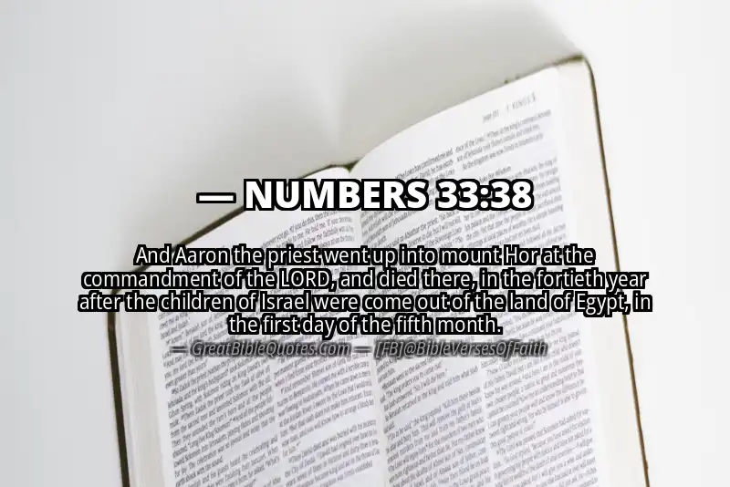 NUMBERS 33:38 Verse