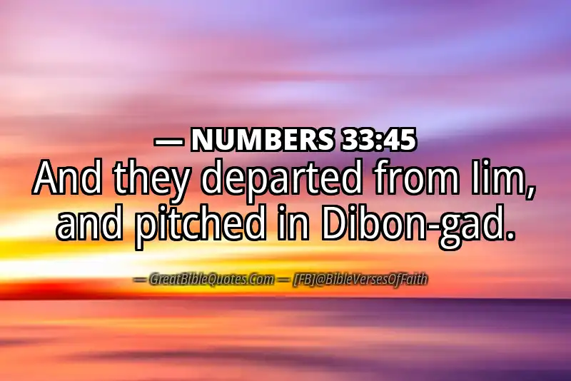 NUMBERS 33:45 Verse