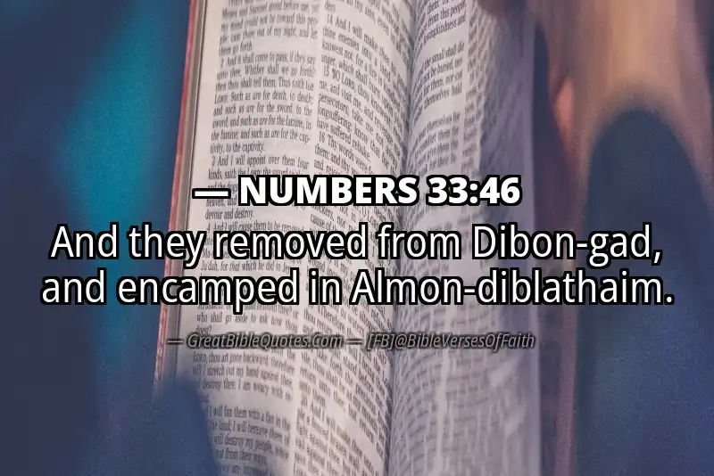 NUMBERS 33:46 Verse
