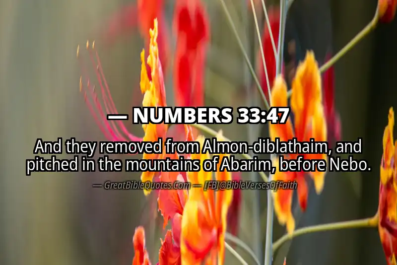NUMBERS 33:47 Verse Image