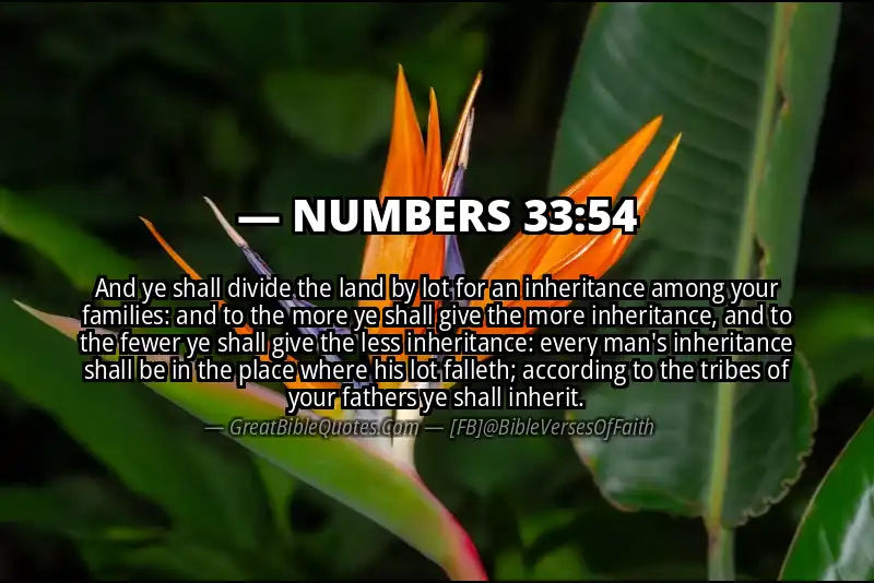 NUMBERS 33:54 Verse