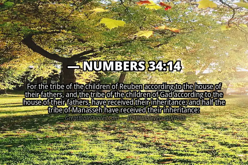 NUMBERS 34:14 Verse