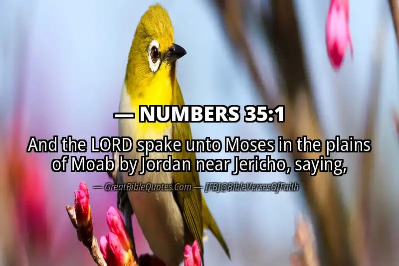 NUMBERS 35:1 Verse