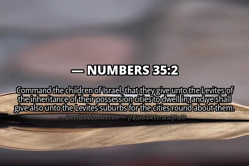 NUMBERS 35:2 Verse