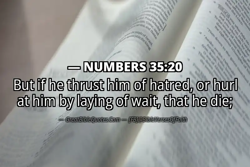NUMBERS 35:20 Verse Image