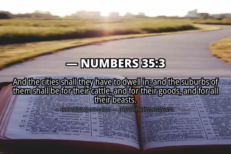 NUMBERS 35:3 Verse