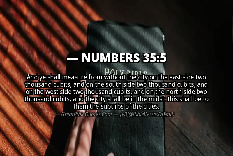 NUMBERS 35:5 Verse