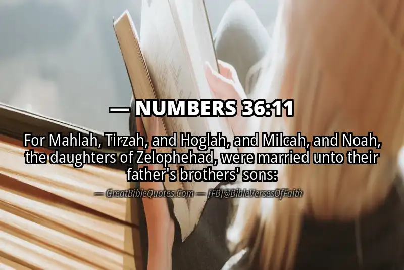 NUMBERS 36:11 Verse