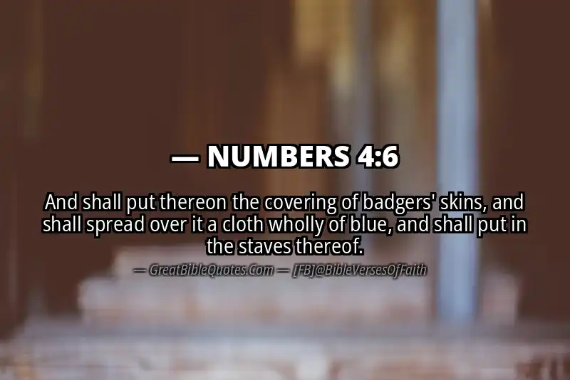 NUMBERS 4:6 Verse