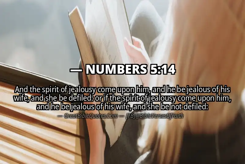 NUMBERS 5:14 Verse