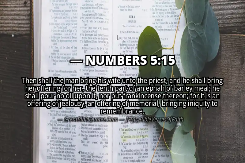 NUMBERS 5:15 Verse
