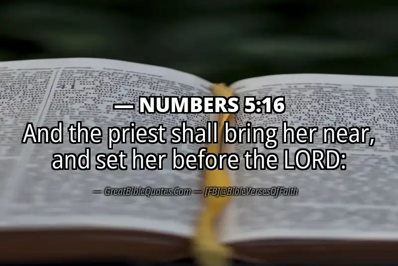 NUMBERS 5:16 Verse
