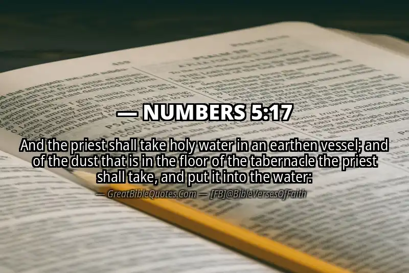 NUMBERS 5:17 Verse