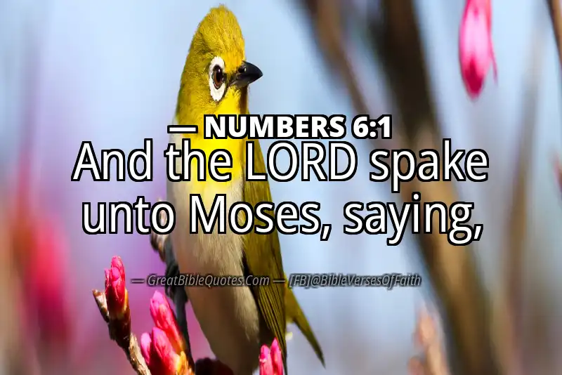 NUMBERS 6:1 Verse