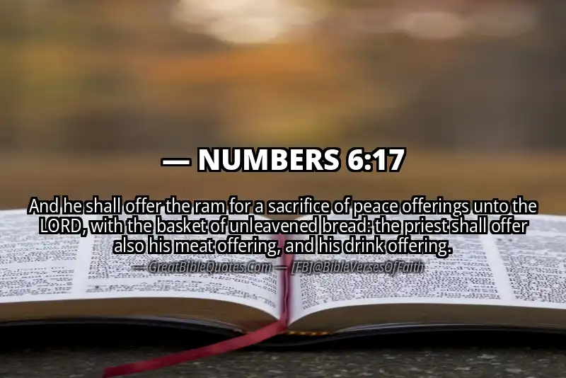 NUMBERS 6:17 Verse