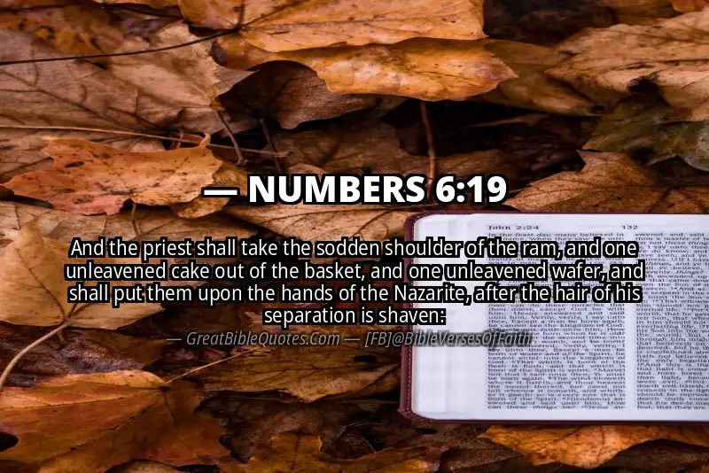 NUMBERS 6:19 Verse
