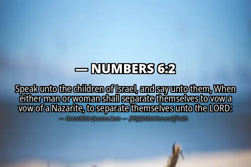 NUMBERS 6:2 Verse